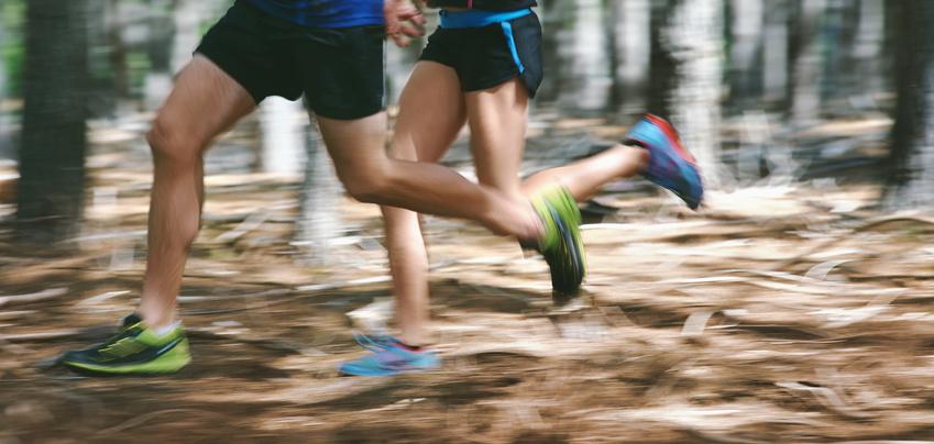 Zwei Personen joggen schnell auf einem Waldweg, umgeben von Bäumen und Laub.